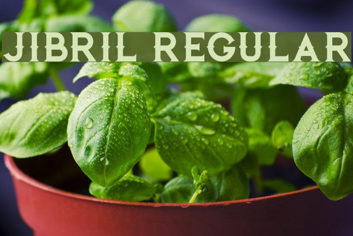 Jibril Regular Font examples