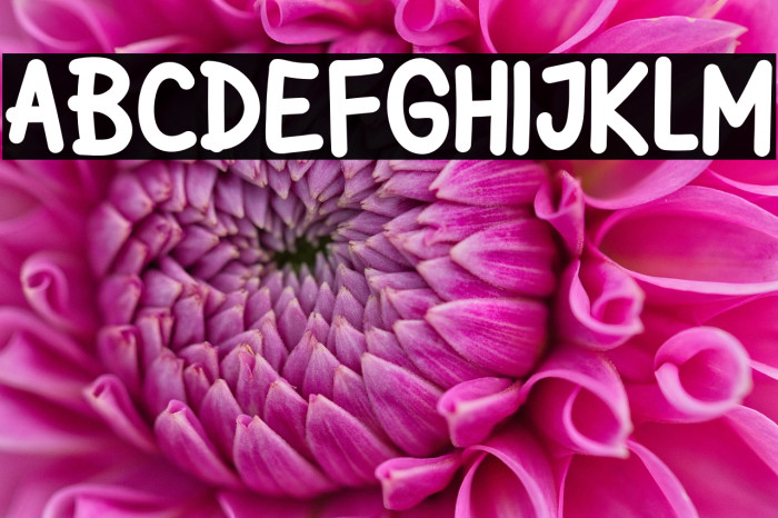 Jicama Days Example 1