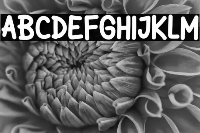 Jicama Days Font examples