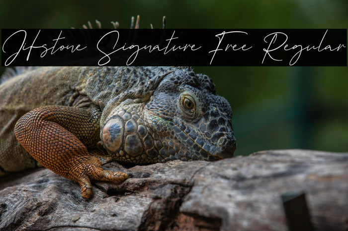 Jifstone Signature Free Regular Example 2