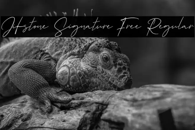 Jifstone Signature Free Regular Font examples