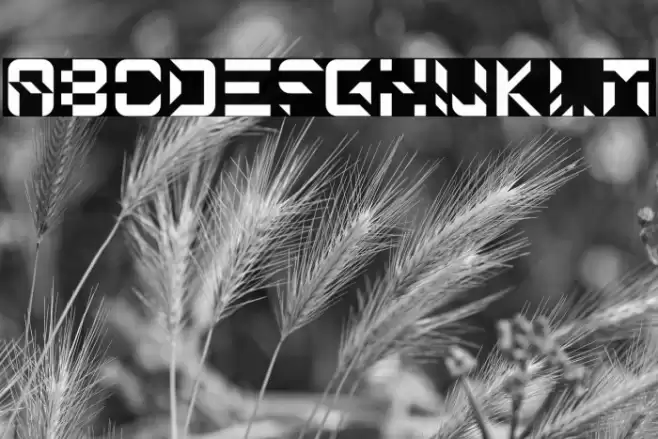 JigSaw Font examples