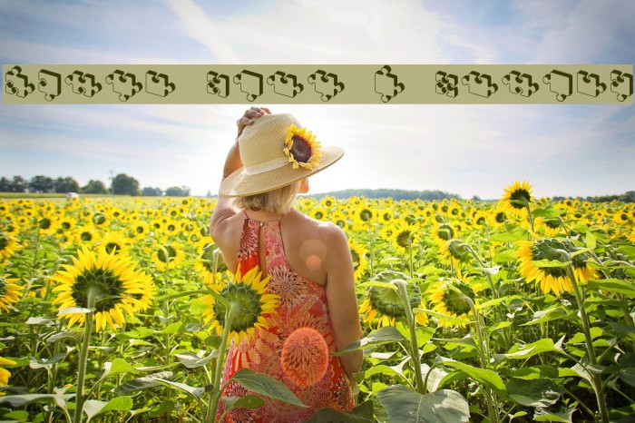 Jigsaw Puzzles 3D Regular Example 3