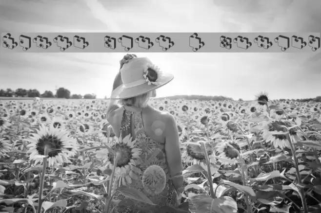 Jigsaw Puzzles 3D Regular Font examples