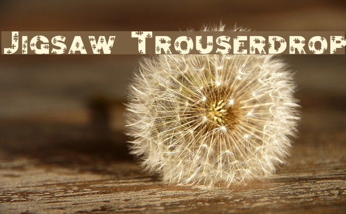 Jigsaw Trouserdrop Font examples