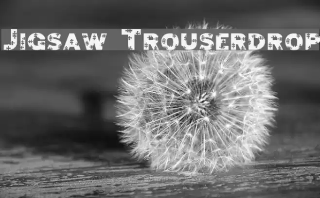 Jigsaw Trouserdrop Шрифта examples