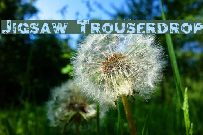 Jigsaw Trouserdrop Font examples