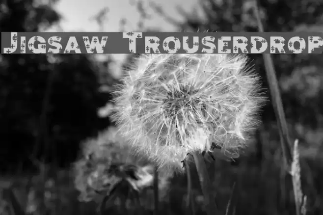 Jigsaw Trouserdrop Шрифта examples