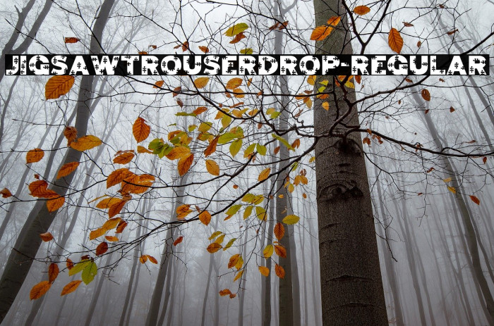 JigsawTrouserdrop-Regular Font examples