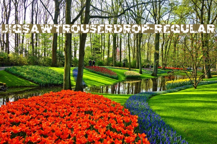 JigsawTrouserdrop-Regular Example 1