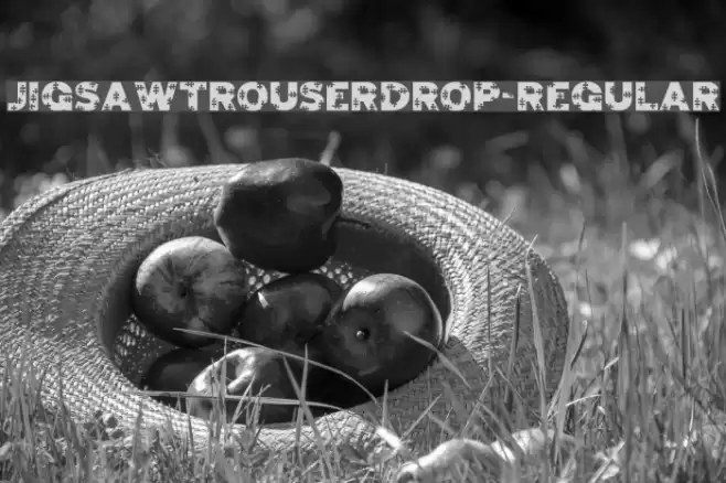 JigsawTrouserdrop-Regular Font examples