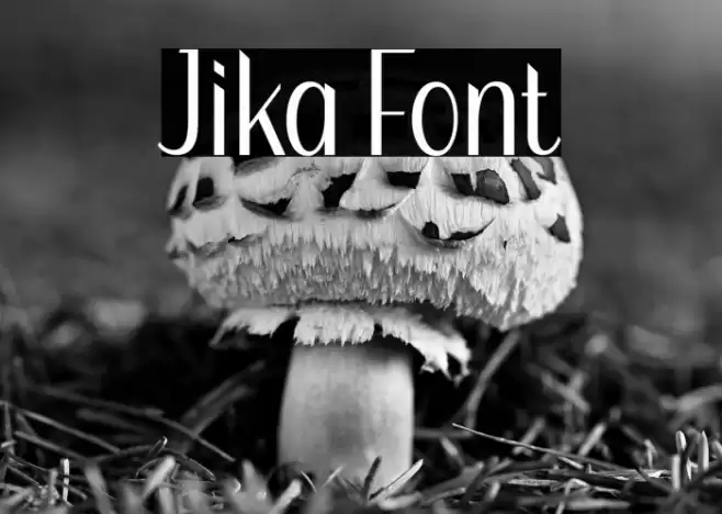 Jika Caratteri examples