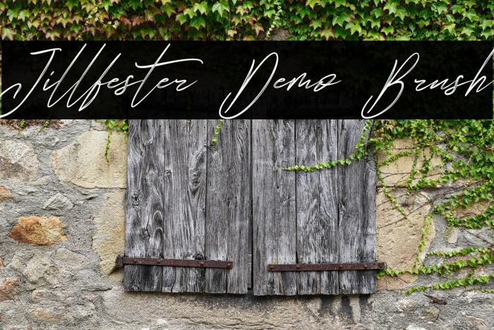 Jillfester Demo Brush Example 1