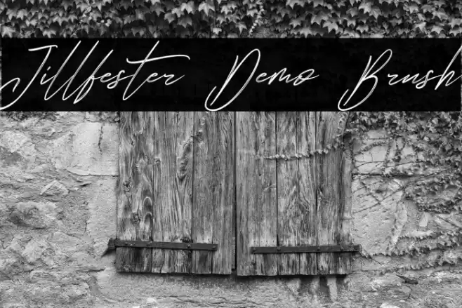 Jillfester Demo Brush Font examples
