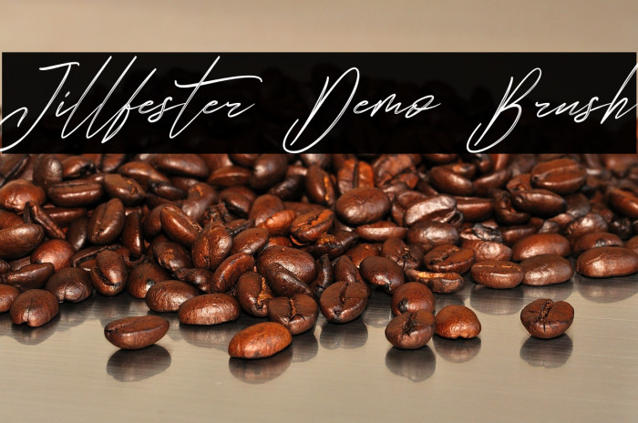 Jillfester Demo Brush Example 2