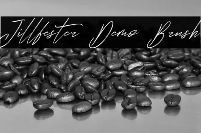 Jillfester Demo Brush Font examples