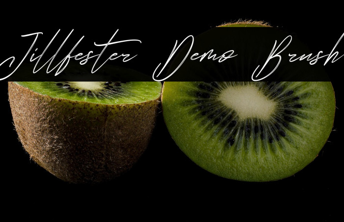 Jillfester Demo Brush Example 3