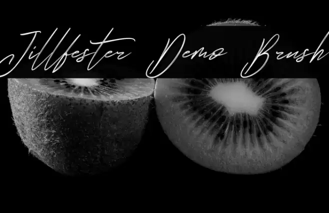 Jillfester Demo Brush Font examples