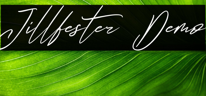 Jillfester Demo Example 3