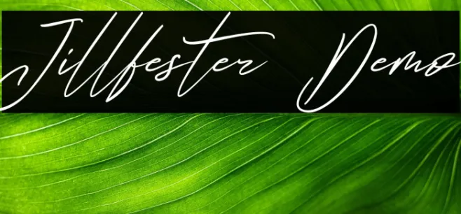 Jillfester Demo Example 3