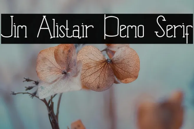Jim Alistair Demo Serif Example 1