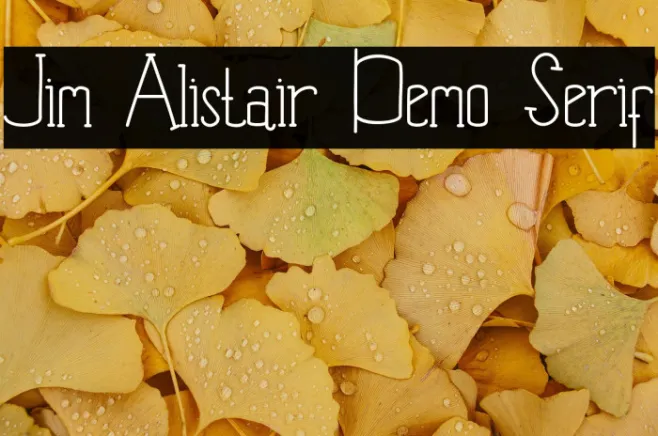Jim Alistair Demo Serif Example 3