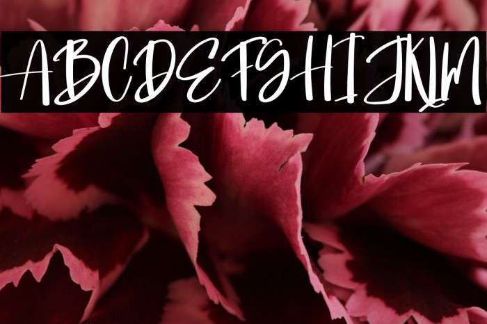 Jim Signature Example 2