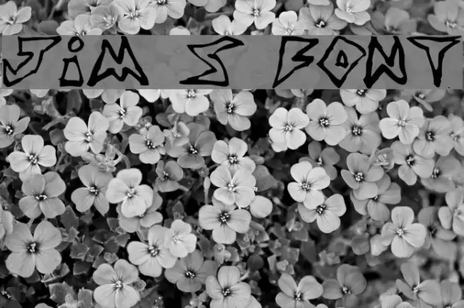 Jim s Font Font examples