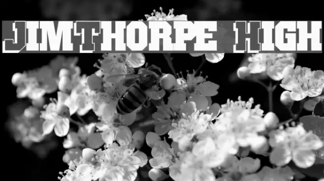 JimThorpe High Шрифта examples