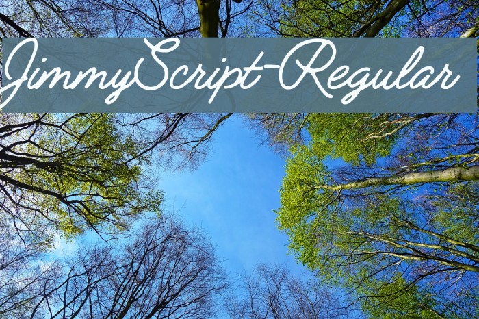 JimmyScript-Regular Font examples