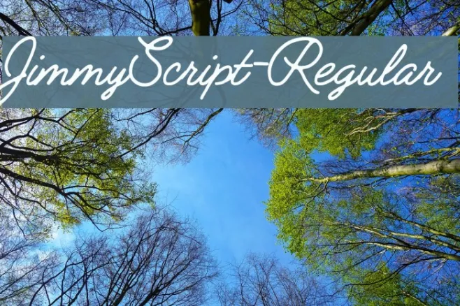 JimmyScript-Regular Example 2