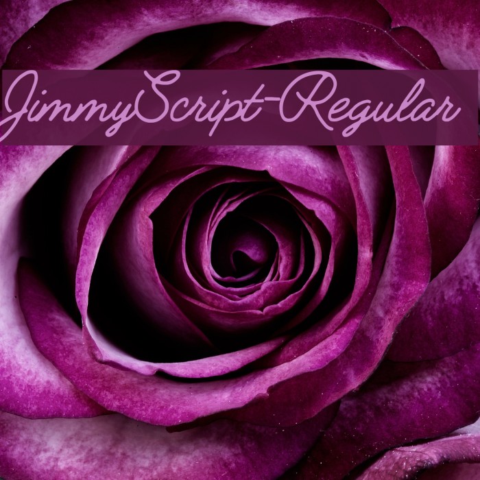 JimmyScript-Regular Font examples