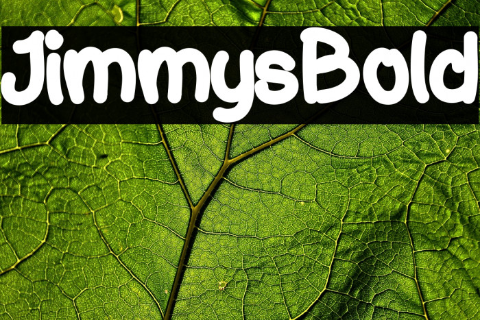 JimmysBold Example 1