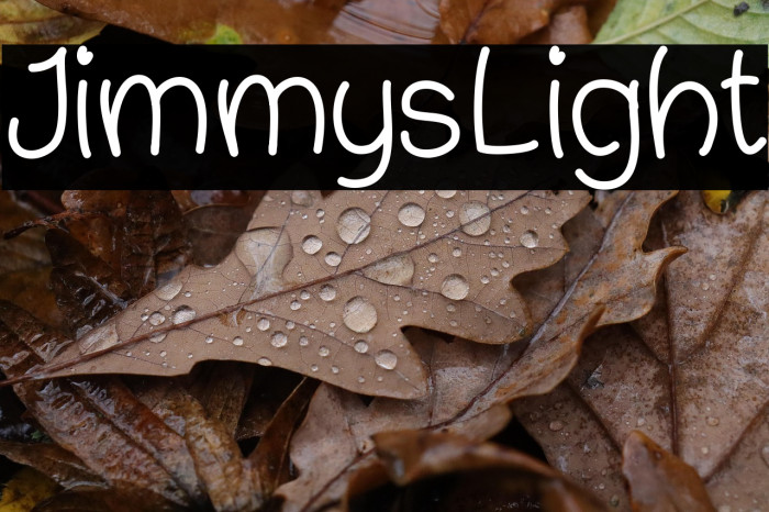 JimmysLight Example 2