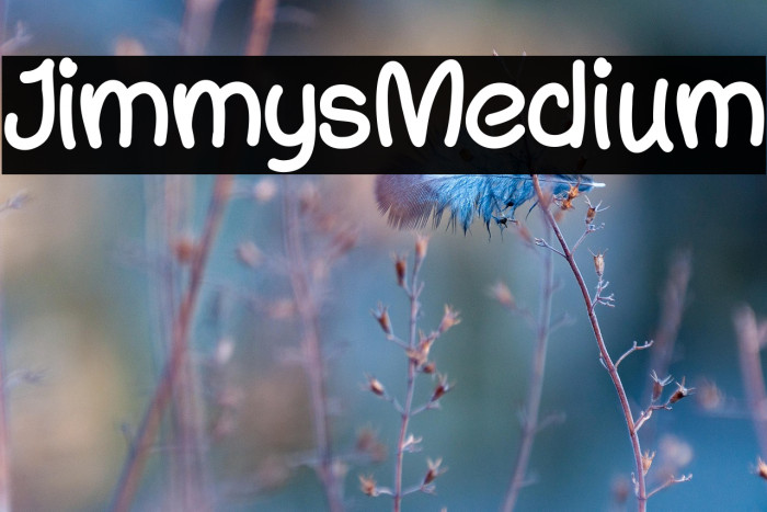 JimmysMedium Example 1