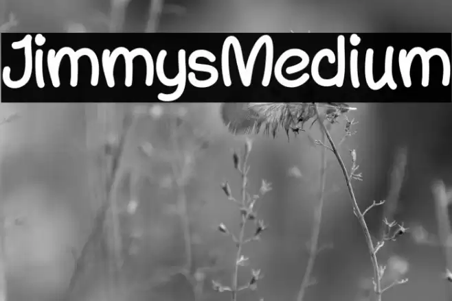 JimmysMedium Schriftart examples