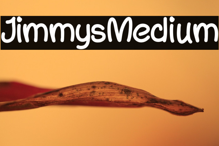 JimmysMedium Example 3