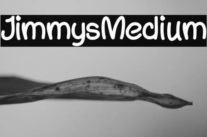 JimmysMedium Schriftart examples