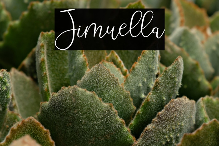 Jimuella Example 2