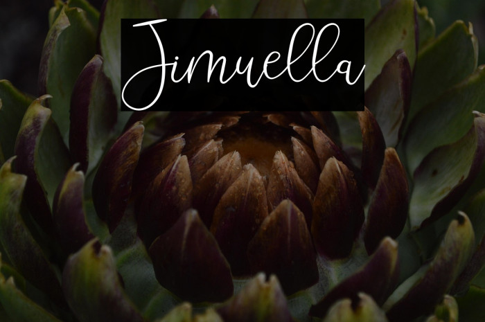 Jimuella Example 3