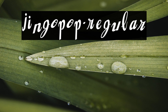 Jingopop-Regular Example 2