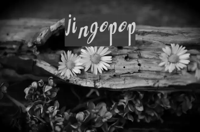 Jingopop Font examples