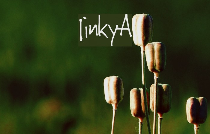 JinkyA Example 1