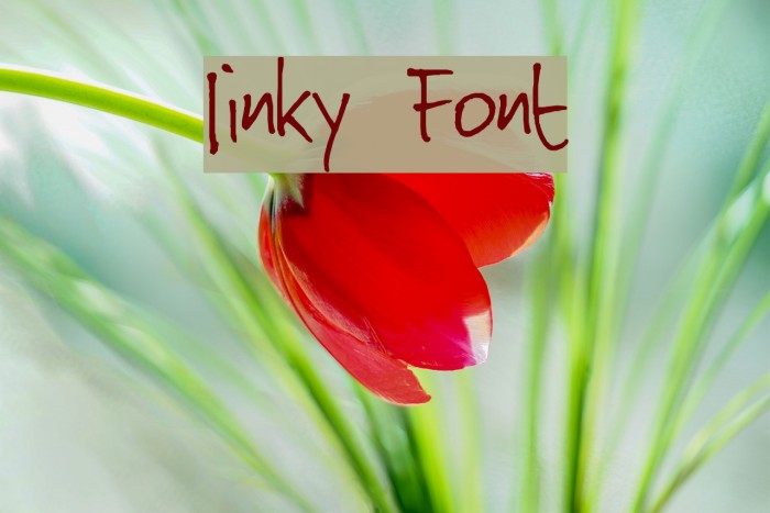 Jinky Font examples