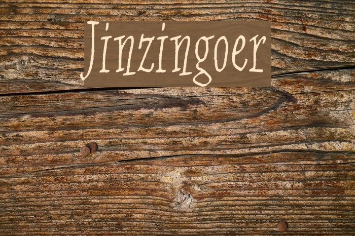 Jinzingoer Font examples