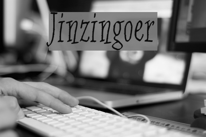 Jinzingoer Font examples