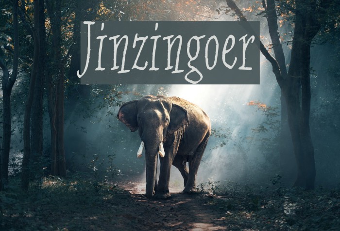 Jinzingoer Font examples