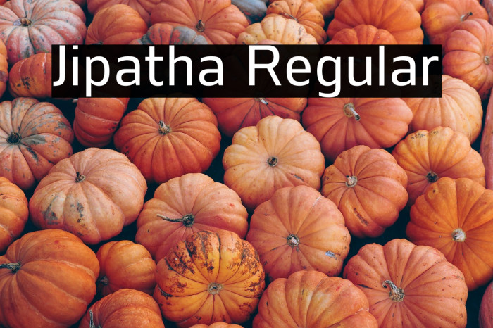 Jipatha Regular Example 2