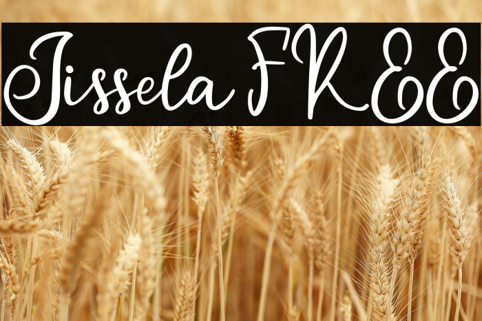 Jissela FREE Example 3