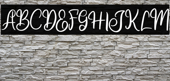 JisselaFREE Example 3